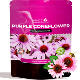 NatureZ Edge Echinacea seeds pack for planting, ideal for vibrant borders.