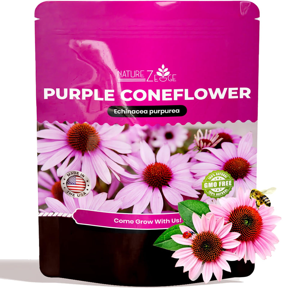 NatureZ Edge Echinacea seeds pack for planting, ideal for vibrant borders.