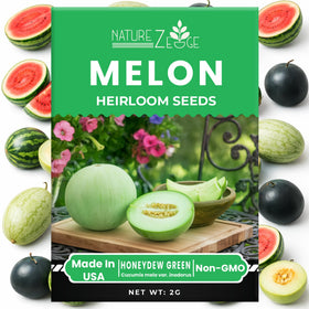 NatureZ Edge Green Honeydew melon seeds for subtle sweetness and refreshing yields.