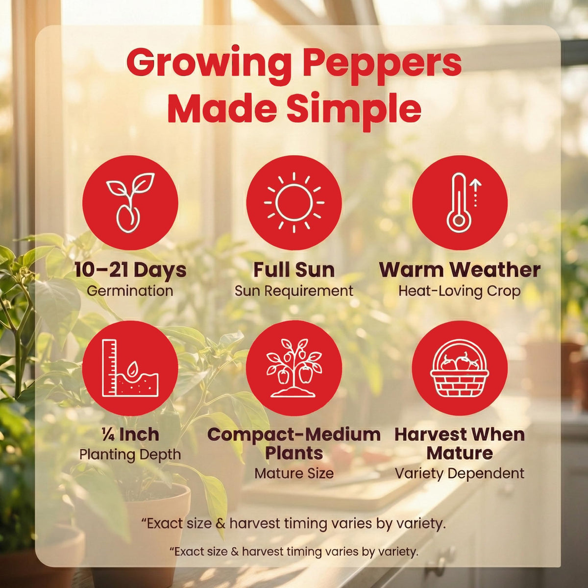 NatureZ Edge Heirloom Non-GMO seeds packaging