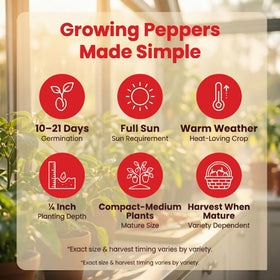 NatureZ Edge Heirloom Non-GMO seeds packaging