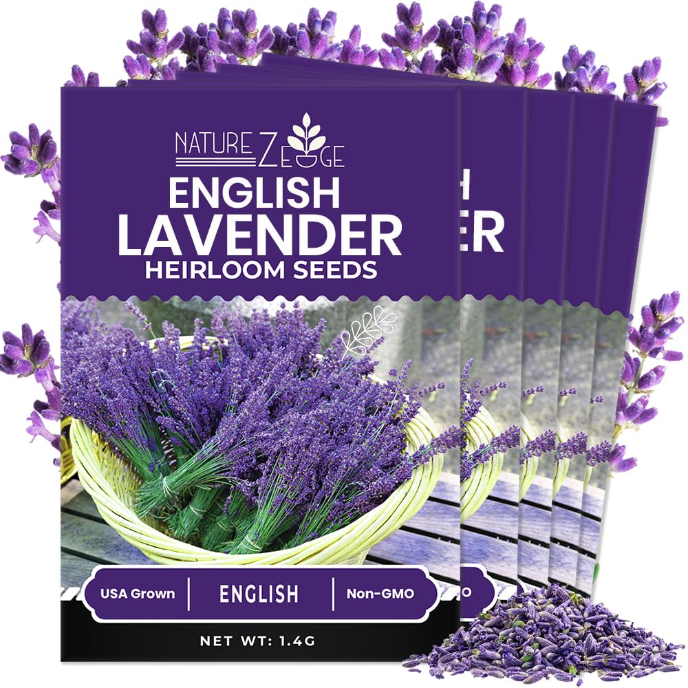 NatureZ Edge lavender seed pack 5-pack ready for versatile indoor or outdoor planting.