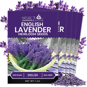 NatureZ Edge lavender seed pack 5-pack ready for versatile indoor or outdoor planting.