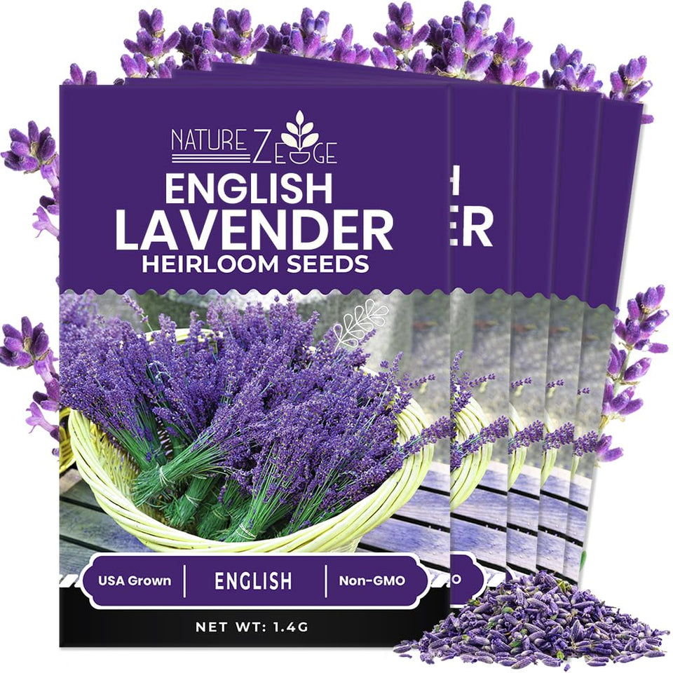NatureZ Edge lavender seed pack 5-pack ready for versatile indoor or outdoor planting.