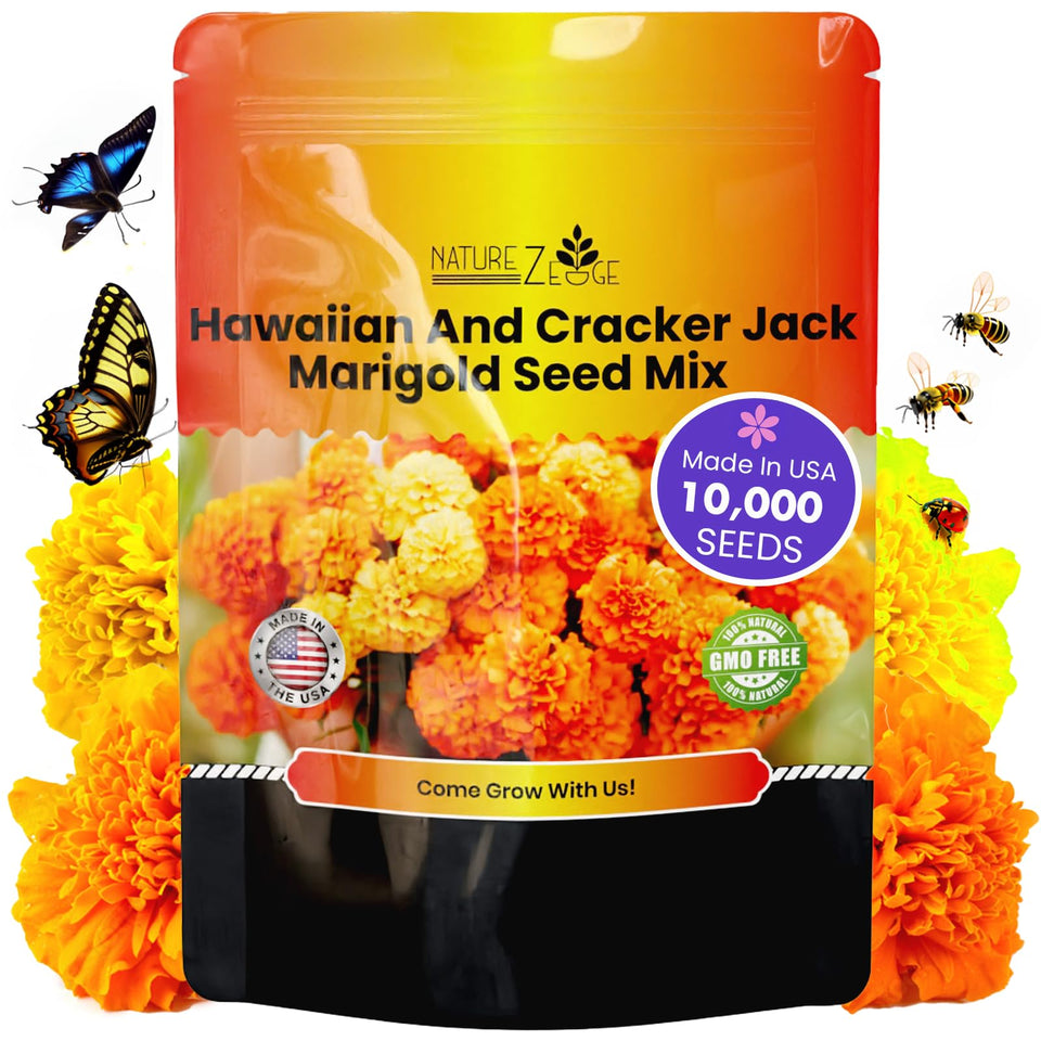NatureZ Edge marigold seeds yield giant Hawaii blooms for a dramatic garden display