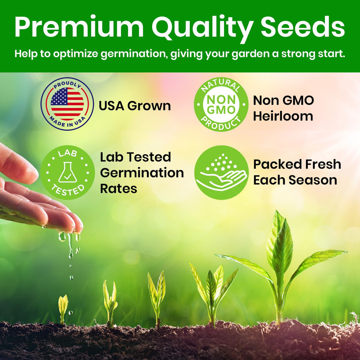 NatureZ Edge Marigold Seeds Mix quick germination in 8–10 days