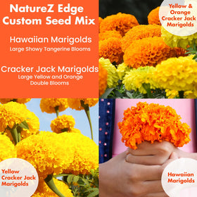 NatureZ Edge marigold seeds attract beneficial insects to support garden health
