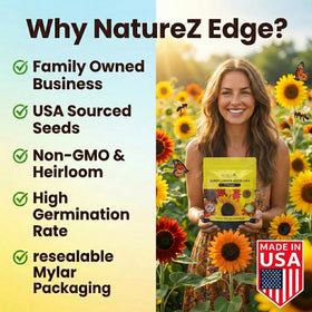 NatureZ Edge Mexican Sunflower seeds create tall focal points in sunny spaces.