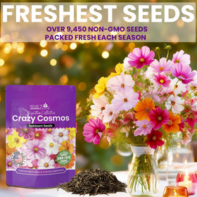NatureZ Edge pollinator-friendly seed mix supports bees and butterflies in gardens.