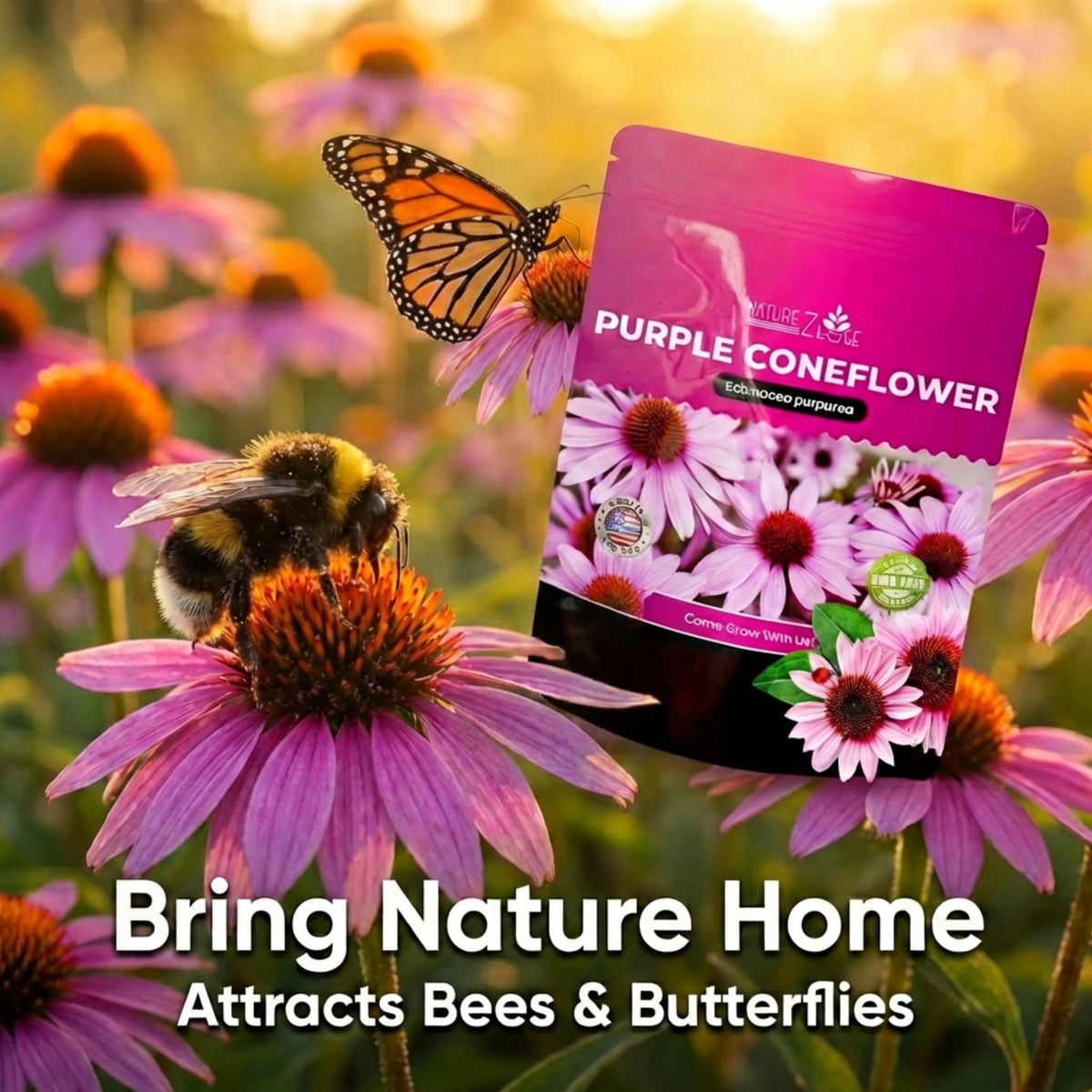 NatureZ Edge Purple Coneflower bloom encourages pollinators.