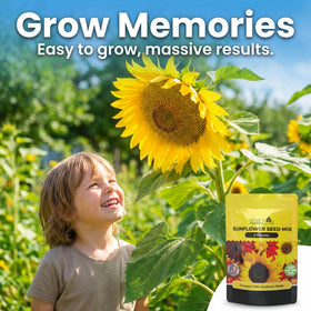 NatureZ Edge Velvet Queen seeds bring deep color to flower beds.