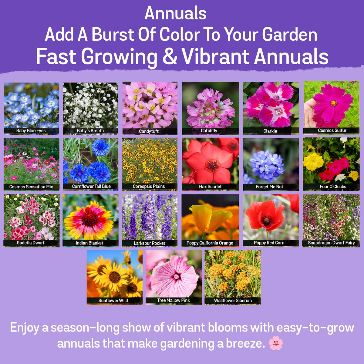 NatureZ Edge seed mix in soil ready to establish pollinator-friendly bed