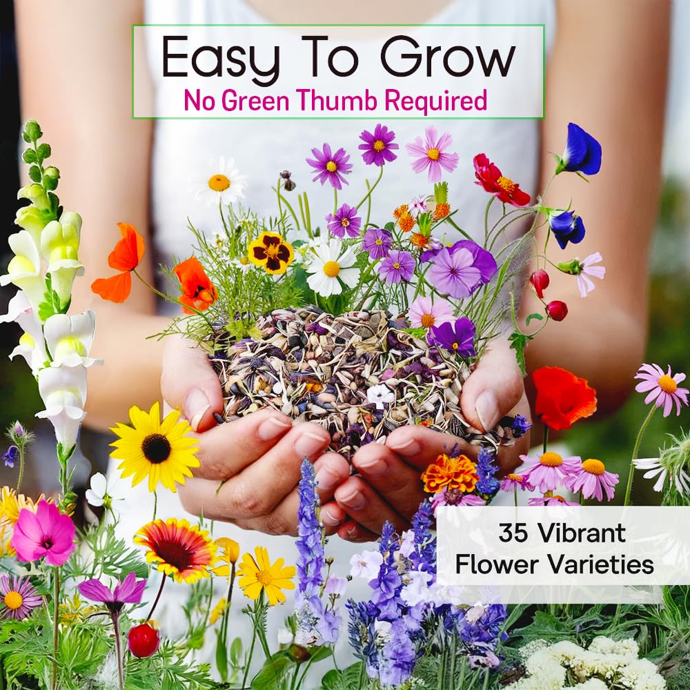 NatureZ Edge pollinator-friendly mix attracting butterflies, bees, and hummingbirds