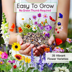 NatureZ Edge pollinator-friendly mix attracting butterflies, bees, and hummingbirds