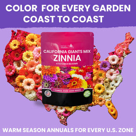 NatureZ Edge zinnia seeds border and patio flower bed variety