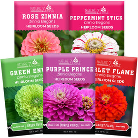 NatureZ Edge zinnia seeds bulk pack ready for a vibrant garden display.