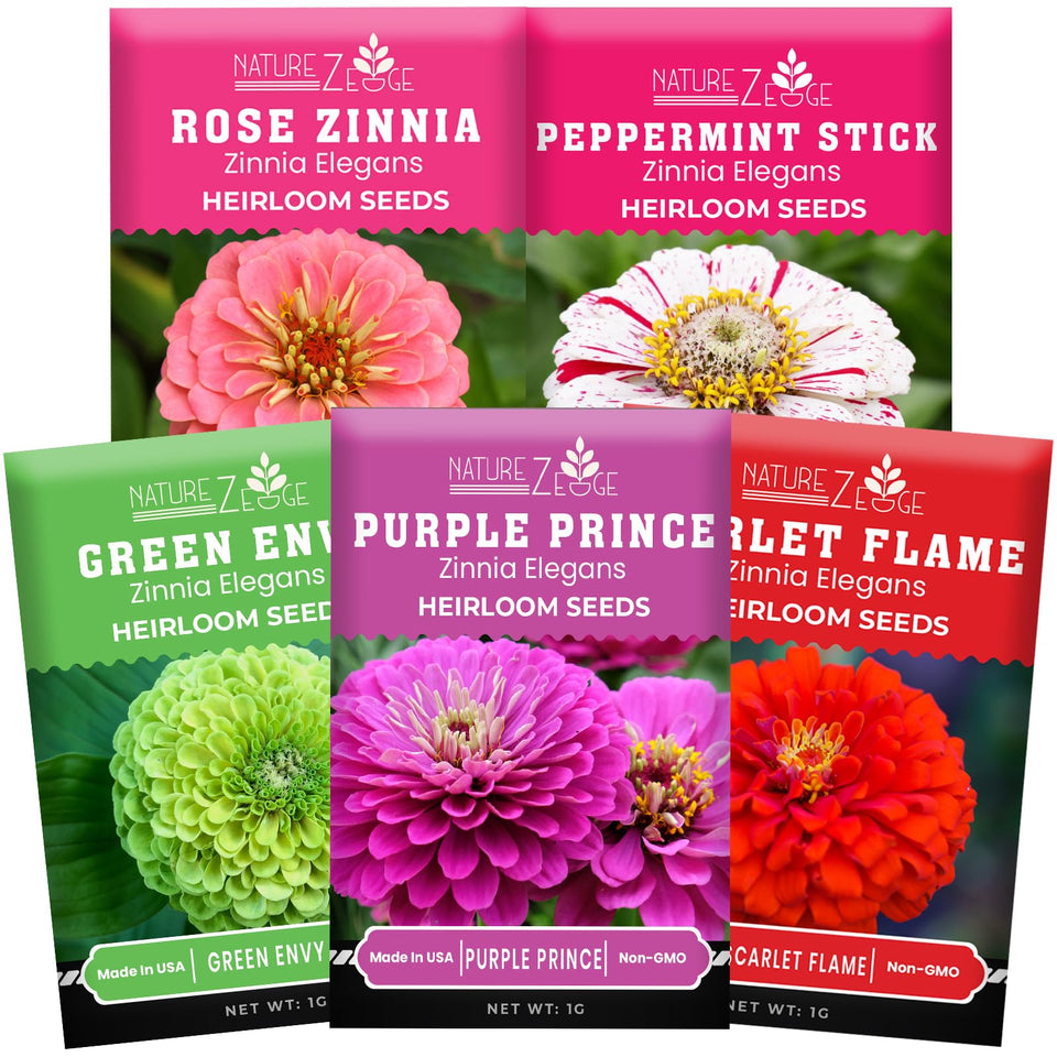 NatureZ Edge zinnia seeds bulk pack ready for a vibrant garden display.