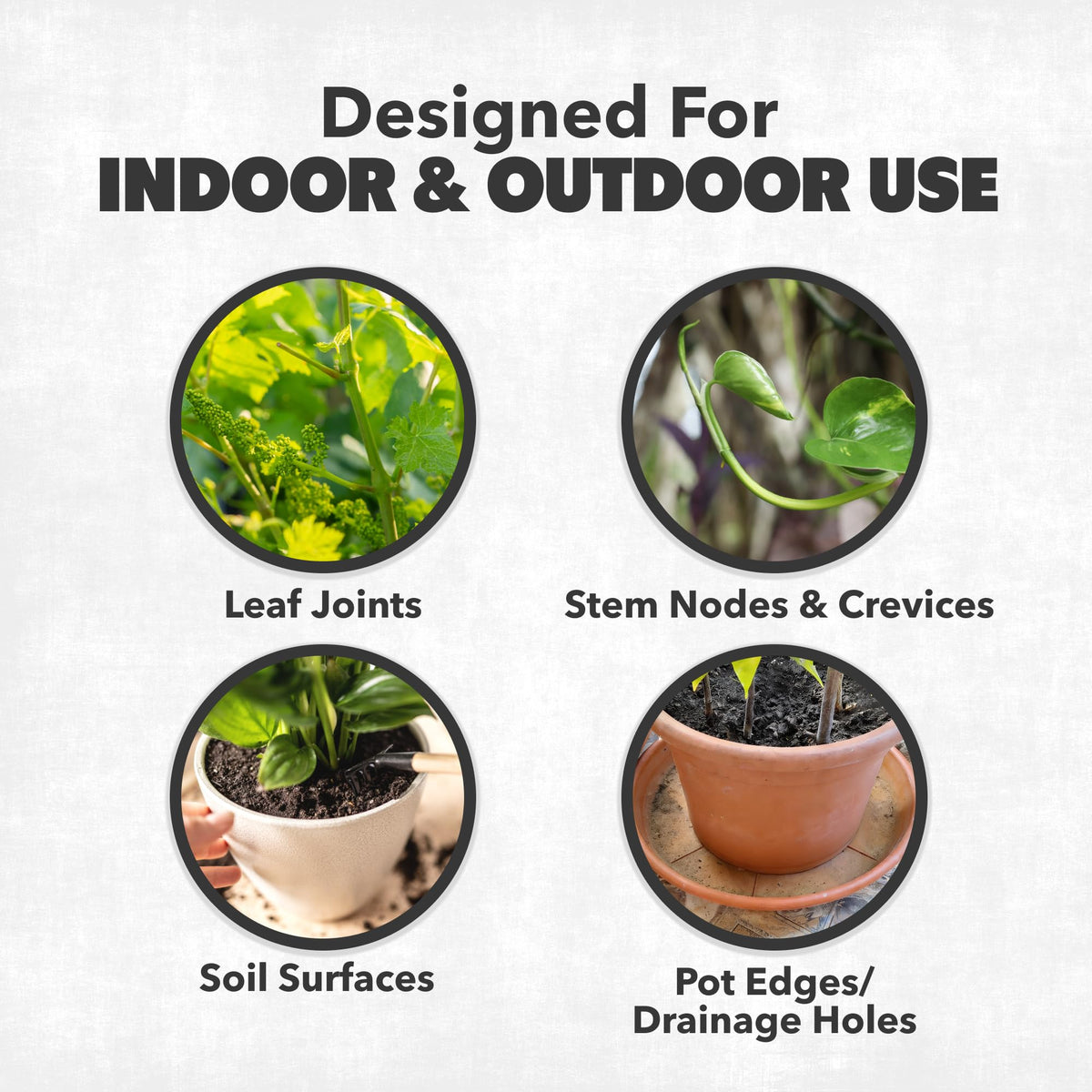 NatureStop Mealy Bug Killer for houseplants demonstrates gentle but effective target on leaves.