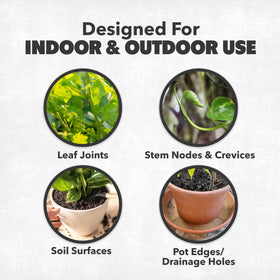 NatureStop Mealy Bug Killer for houseplants demonstrates gentle but effective target on leaves.