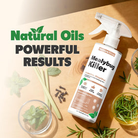 NatureStop Mealy Bug Killer label closeup highlights USA-made formulation and safety notes.
