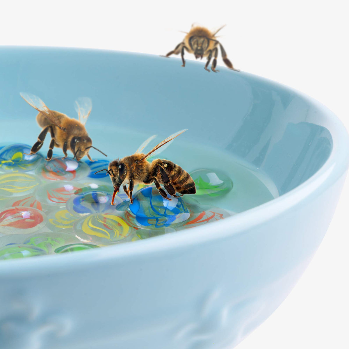 Navaris bee watering station shown in a flower bed for bees