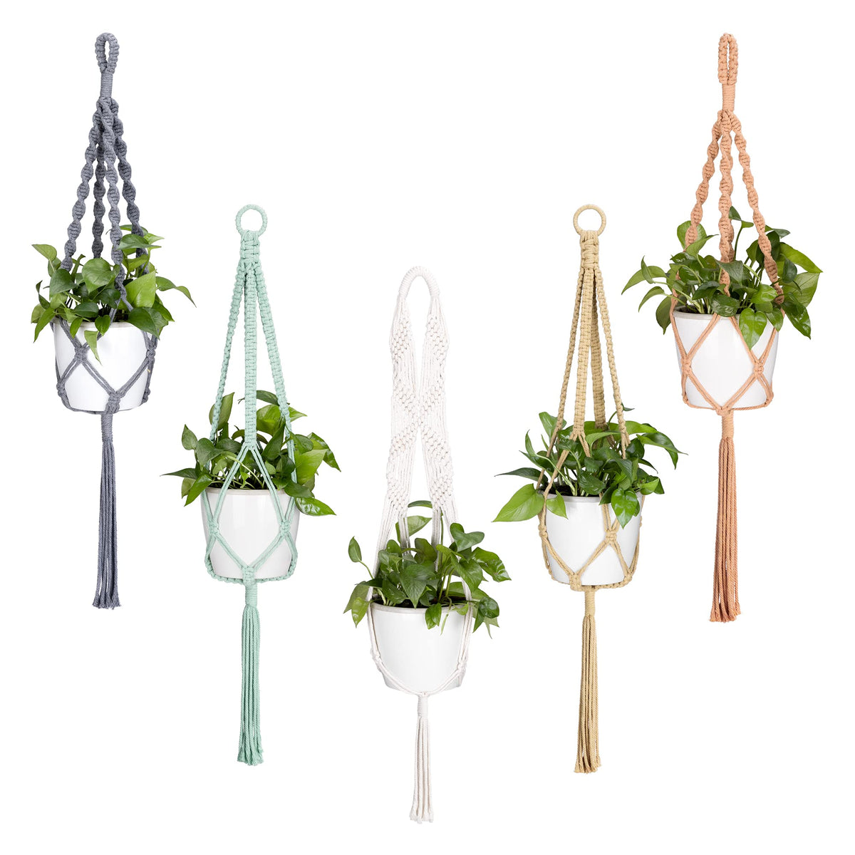 Navaris compatible with various pot shapes for simple plant displays.