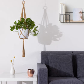 Navaris cotton macrame hangers highlight versatile decor options for plants.