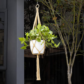 Navaris indoor outdoor plant hanger demonstrates flexible display options for balcony spaces.