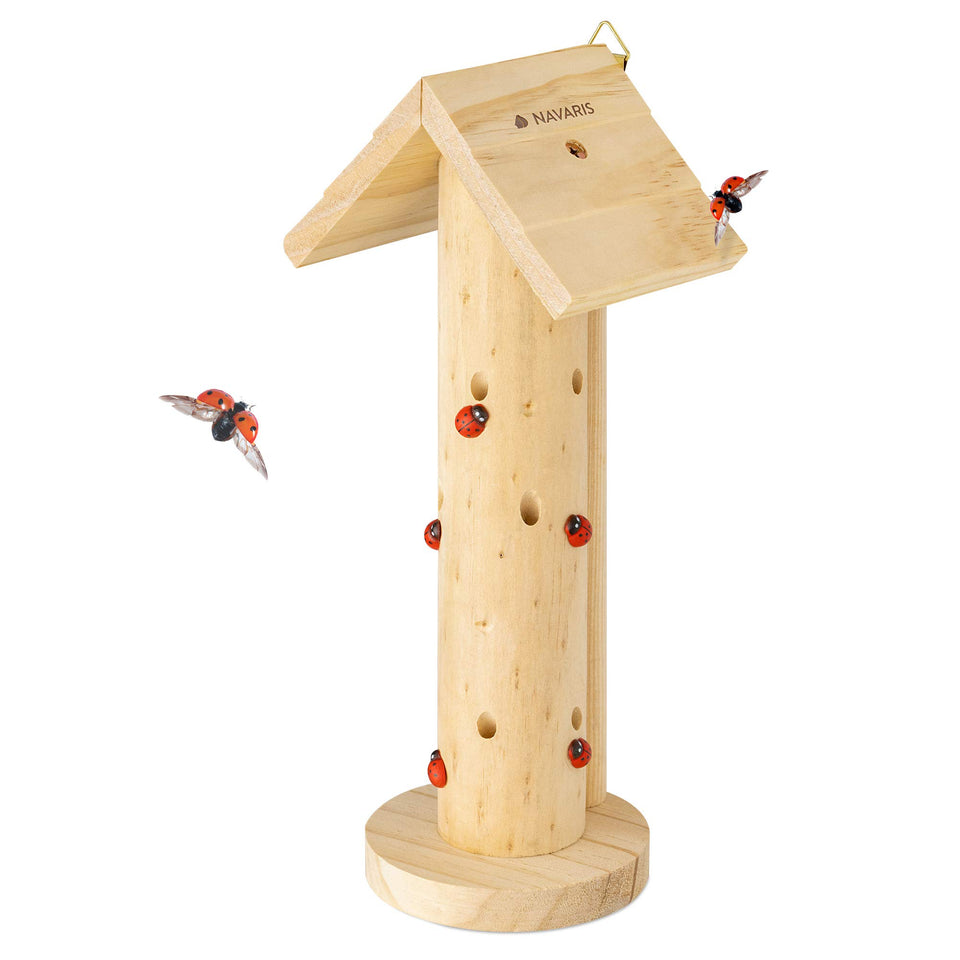 Navaris ladybug habitat hanging on a tree provides safe winter shelter for garden insects.