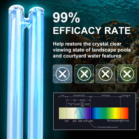 Nbbiww UV bulb easy installation on G23 dual-pin base