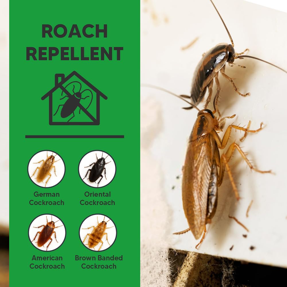 NCSIFDD Roach Repellent applied along cracks for targeted protection