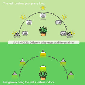Necgemlex built-in timer enabling daily automation for consistent light cycles.