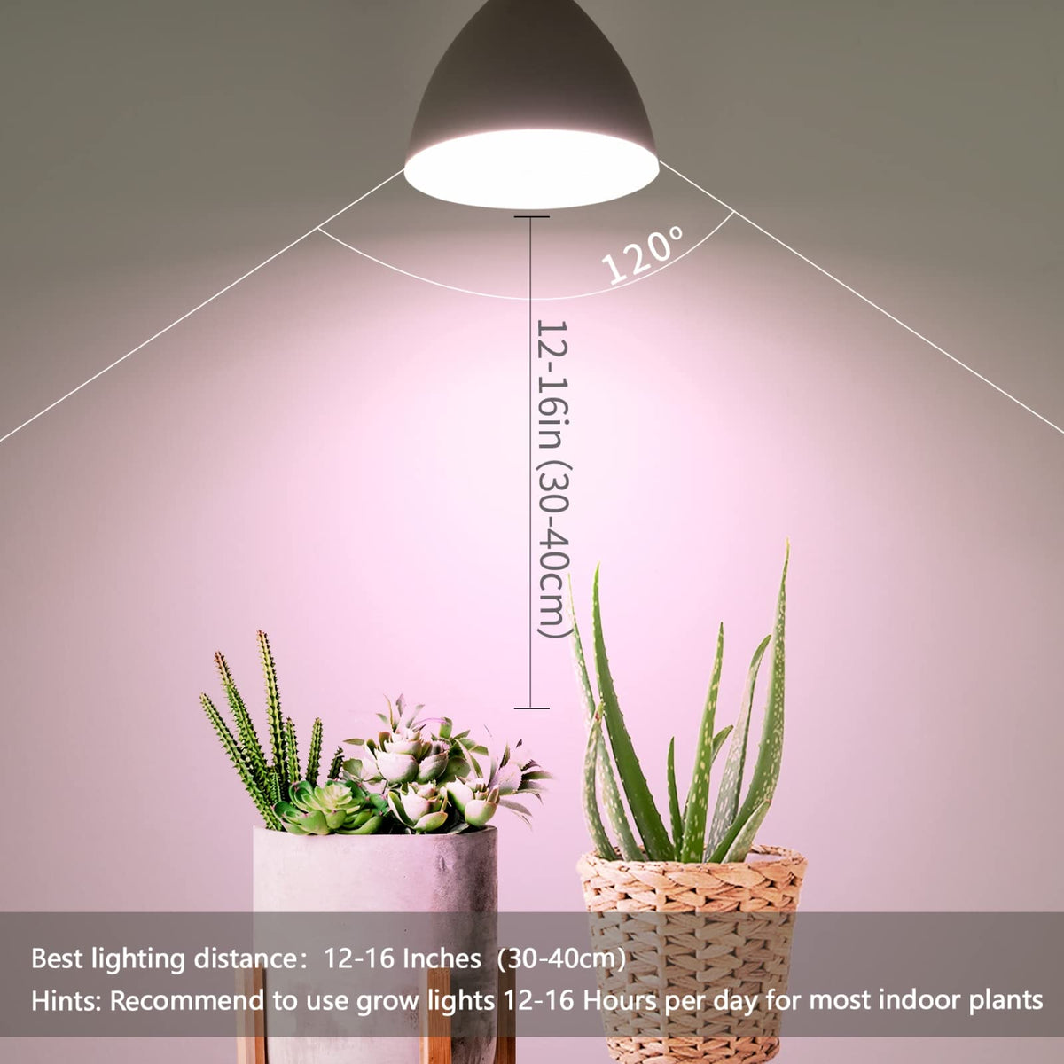 Necgemlex E26/E27 base compatible bulb for easy upgrade.