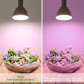 Indoor garden setup with Necgemlex grow light promotes lush greens and herbs.