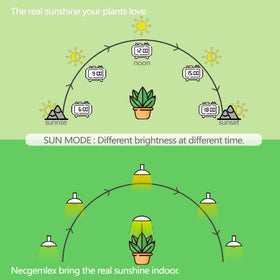 Necgemlex full-spectrum grow light close-up highlights 380–800 nm range for healthier indoor plants.