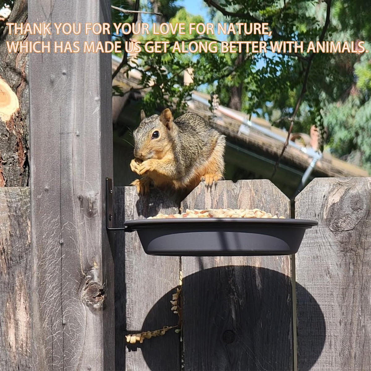 NEECONG bird-friendly garden accessory adds a focal point to outdoor spaces