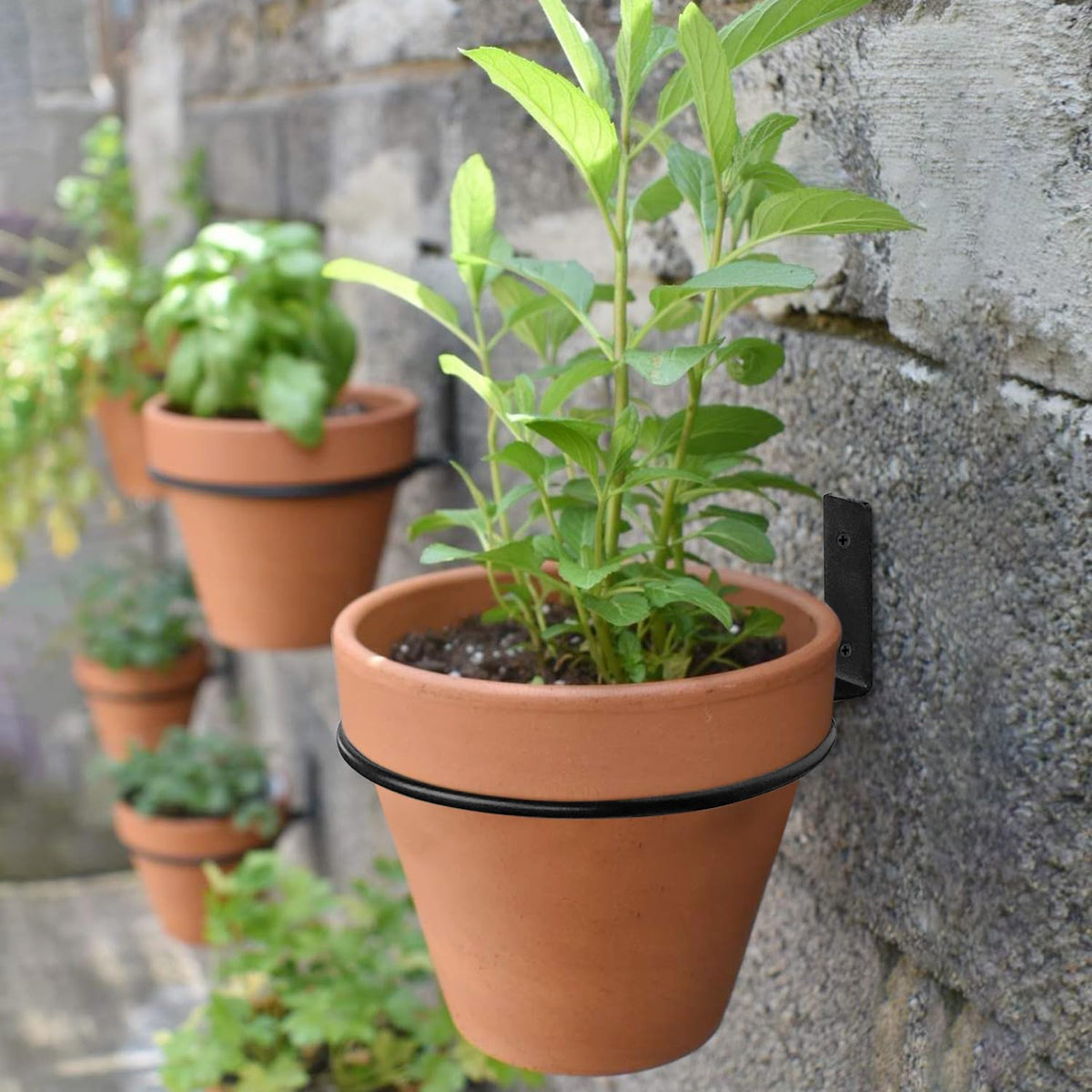 Neiteli versatile-use for indoor plants, herbs, or succulents.