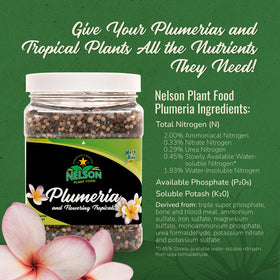 Nelson NutriStar 5-30-5 in container garden supports vibrant colors
