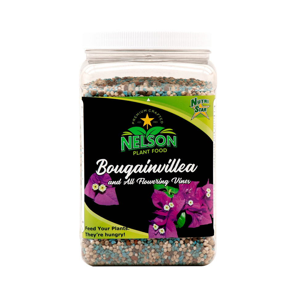 Nelson Plant Food bougainvillea bloom for vibrant color