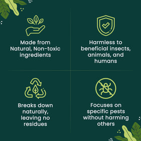 The Environmental Factor NemaKnights lawn spot treatments guard outdoor plants.