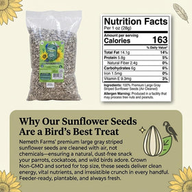Nemeth Farms parrot-friendly seeds support energy for active birds