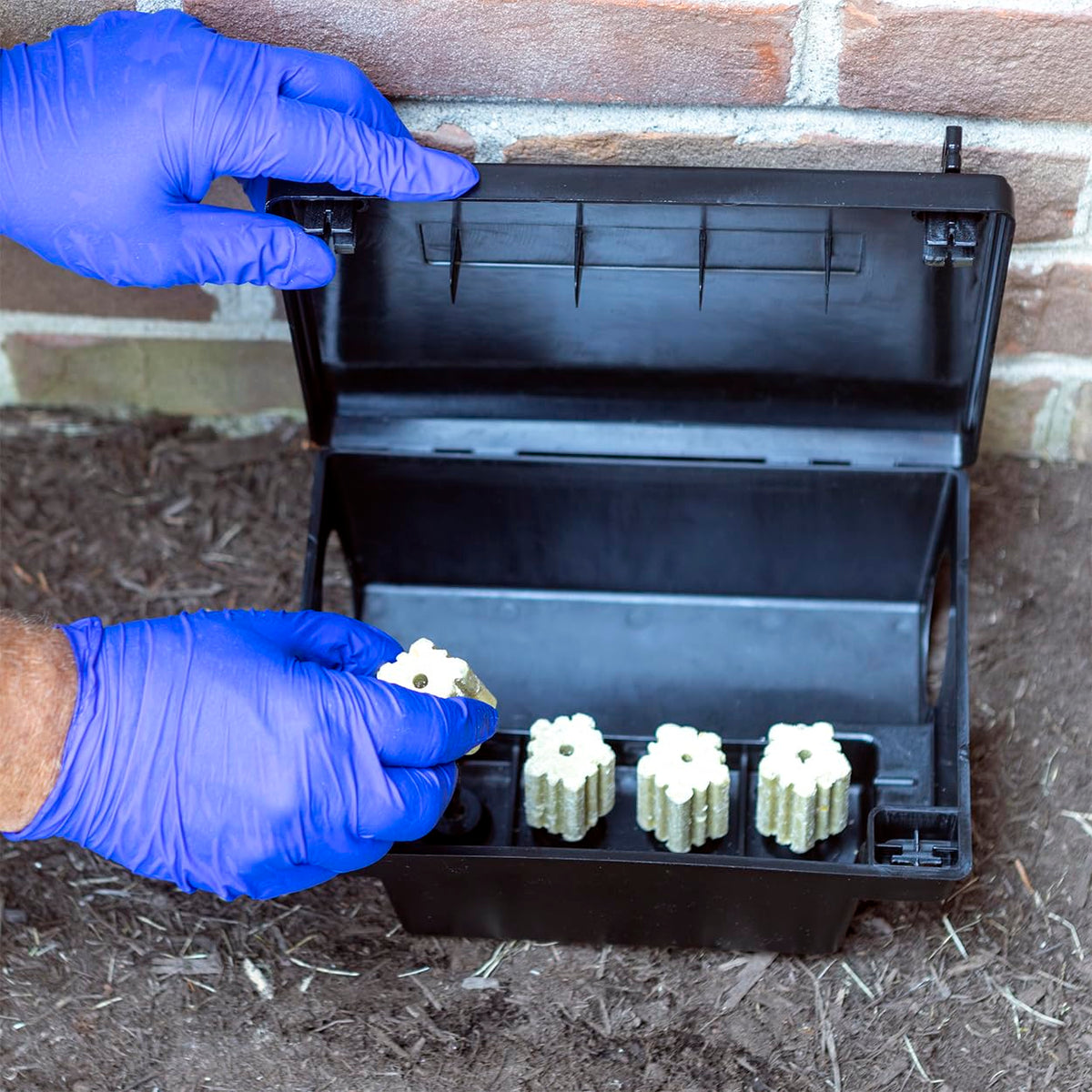 Neogen 000550 side view with dual openings for easy rodent access.