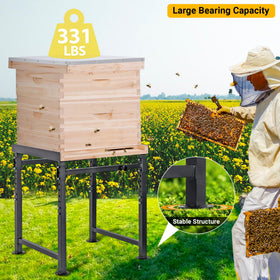 Neorexon hive stand base provides stable support.