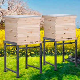 Neorexon stand feet stabilize on uneven ground.