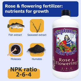 Neptune's Harvest bottle 36oz label clearly displaying organic fertilizer nutrients and guidance.