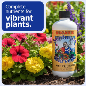 Neptune's Harvest Fish Fertilizer liquid close-up showing nutrient-rich solution