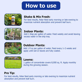 Neptune's Harvest Fish Fertilizer vegetable garden application on vegetables