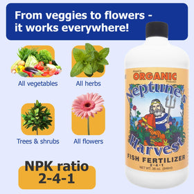 Neptune's Harvest Fish Fertilizer on blooming flowers boosts vitality
