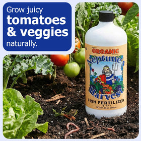 Indoor plants benefiting from Neptune's Harvest liquid plant food