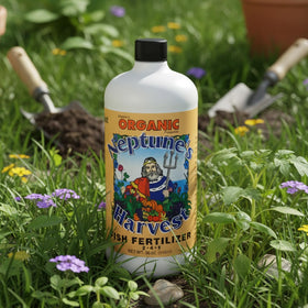 Lush green lawn after Neptune's Harvest soil-friendly feeding